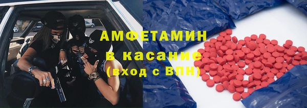 индика Горнозаводск