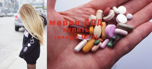 индика Горнозаводск