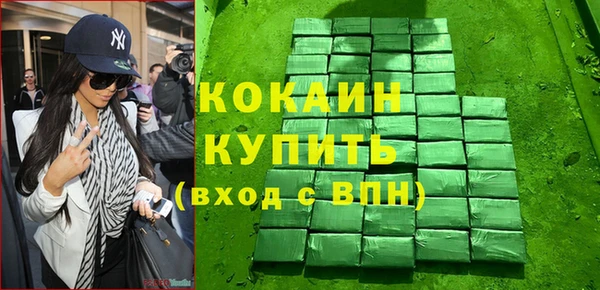 индика Горнозаводск
