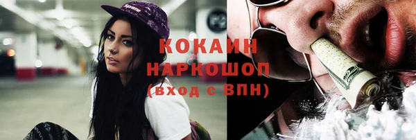 индика Горнозаводск