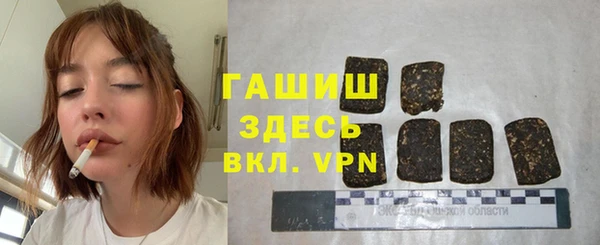 индика Горнозаводск