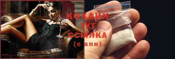 соль ск Горняк