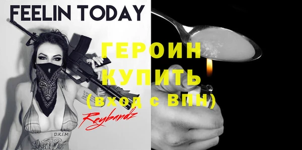 индика Горнозаводск