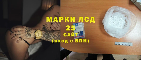 индика Горнозаводск