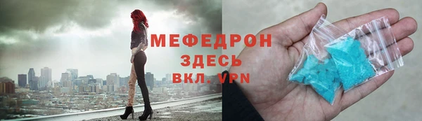индика Горнозаводск