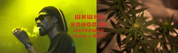 индика Горнозаводск