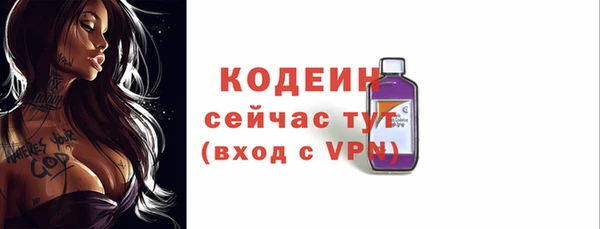 индика Горнозаводск