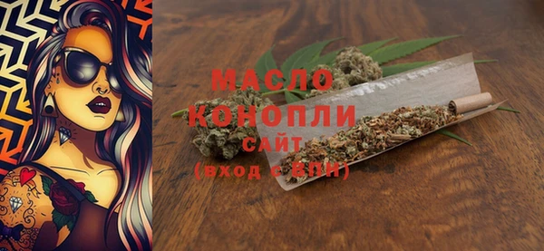 индика Горнозаводск