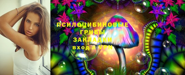 альфа пвп Горно-Алтайск