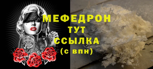 индика Горнозаводск