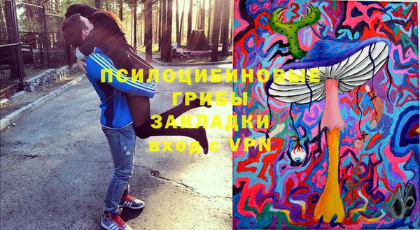 соль ск Горняк