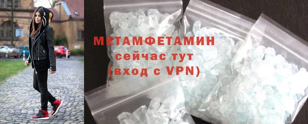 индика Горнозаводск